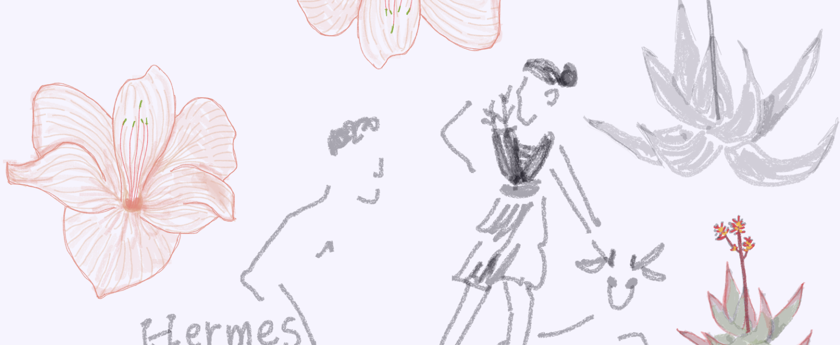 Shows the case final design mockups and key features, including chat bot.